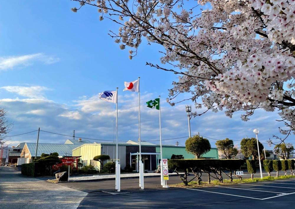 画像を表示する 画像4
